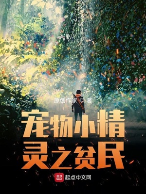 宠物小精灵之贫民 南篱流失