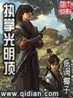 执掌光明顶下载