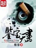 鉴宝天书小说免费阅读