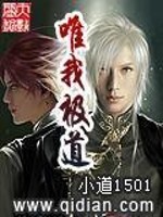 惟道惟极 小说