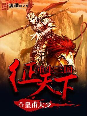 重生三国征天下皇甫大少