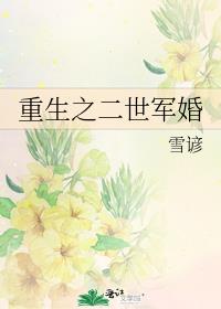 重生之二世军婚百度网盘下载