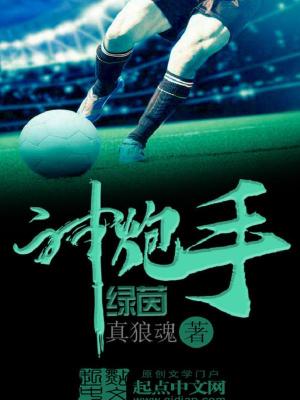 绿茵神锋