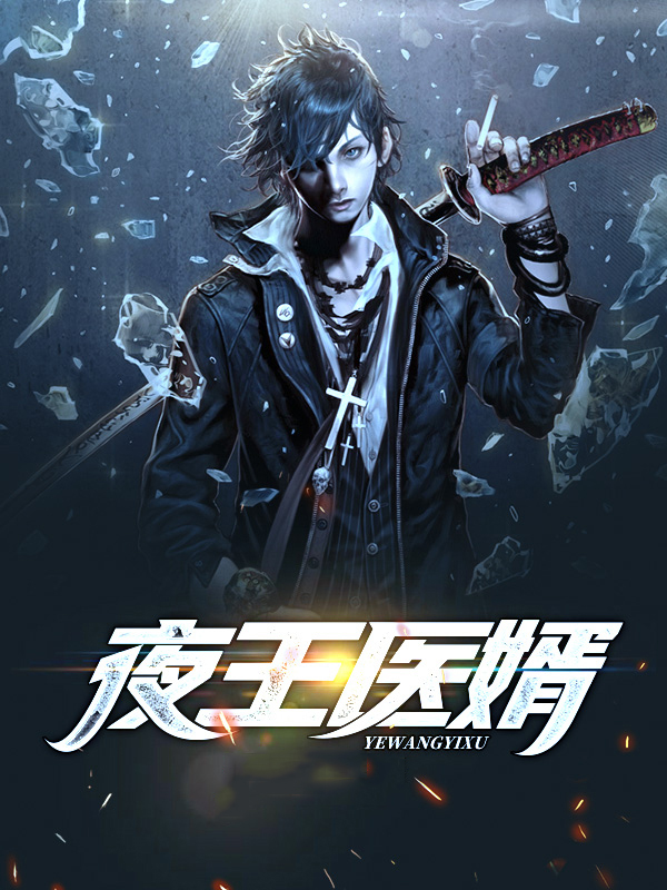 夜王是什么小说