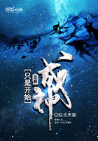 开始就成神的小说