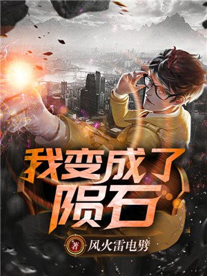 我变成陨石小说免费阅读