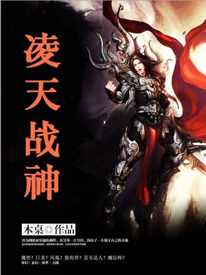 凌天战神叶峰等级划分