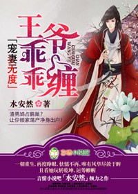 宠妻无度,王爷乖乖缠