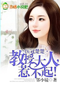 医冠楚楚·教授大人,惹不起!