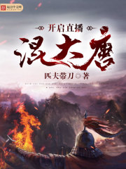 大唐直播间小说