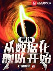 星海,从数据化舰队开始小说