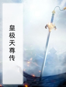 皇极天尊传