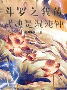 斗罗之我的武魂是混沌钟的作者