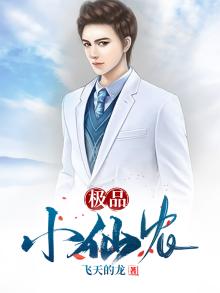 极品小仙农王龙小说阅读