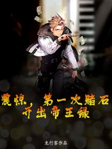 赌石什么料子出帝王绿