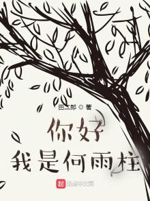 你好我是何雨柱 小说