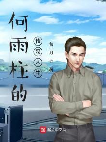 何雨柱几个老婆