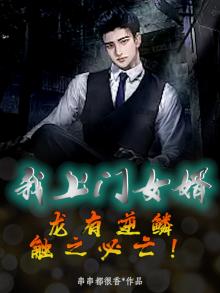 上门龙婿龙隐笔趣阁
