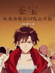 鉴宝收藏类小说优书网