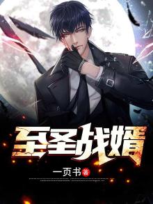 至胜战婿