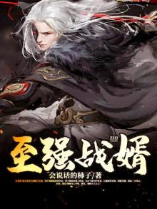 至强战婿有声小说