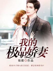 我的极品娇妻陈情小说