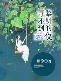 寻不到黎明的夜晚歌词