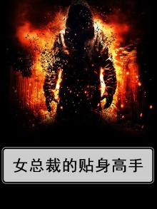 女总裁的贴身高手林辰楚嘉雪小说