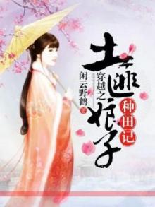 穿越之土匪娘子种田记 小说