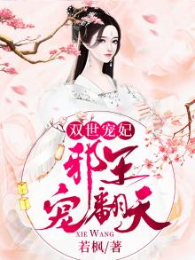 双世宠妃:邪王宠翻天小说