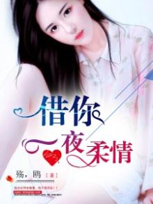 借你一夜柔情歌词