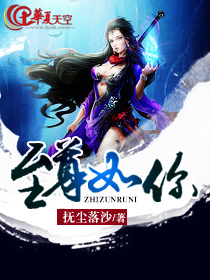 至尊xs