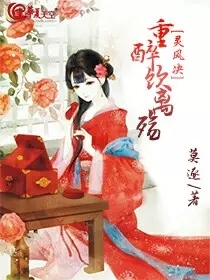 灵风诀，重醉饮离殇