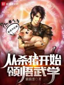 从杀猪开始领悟武学全文免费阅读