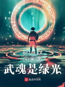 斗罗之武魂是绿光小说下载