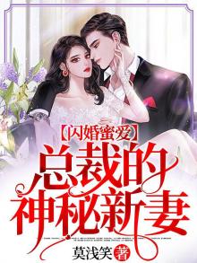 闪婚蜜爱总裁的神秘新妻小说