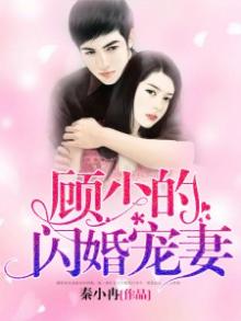 免费阅读顾少的闪婚