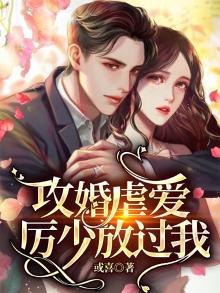 攻婚掠爱总裁的落魄新妻