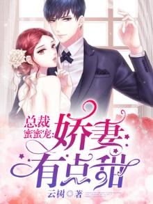 总裁蜜蜜宠:老婆有点甜小说TXT下载小说