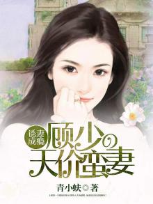 诱妻成瘾顾少的天价宠妻
