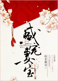 盛宠妻宝小说TXT下载