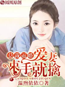 总裁爱上我婚:爱妻束手就擒