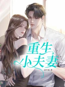 重生小夫妻五零的作者