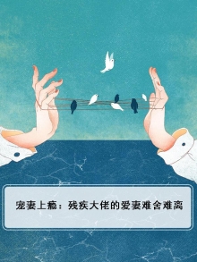 宠妻上瘾：残疾大佬的爱妻难舍难离