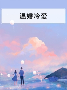 冷婚暖爱 小说