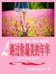 路过你最美的年华