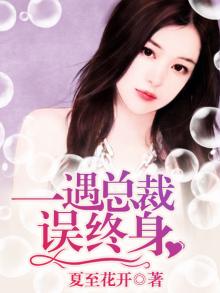 一遇总裁误终身小说阎烈