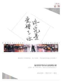 终究是爱错了你免费阅读
