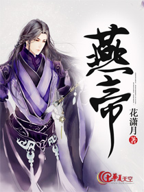 燕帝壁挂炉