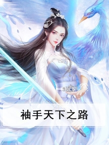 只为她袖手天下